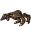 Prodigious Brass Mudcrab icon